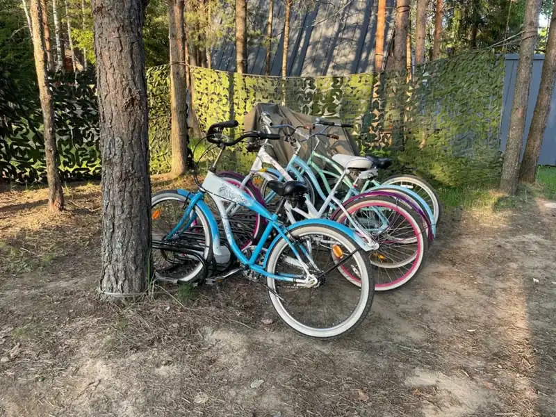 Загородный комплекс Les Holidays в сосновом лесу под Киржачом, фото 3