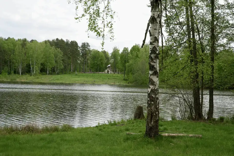 Эко-отель «Поляна Солнца» в лесах Мещёры, фото 2