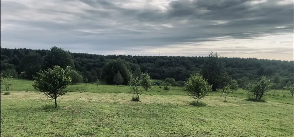 «Рулевка»: дома в полях у деревни Рупусово