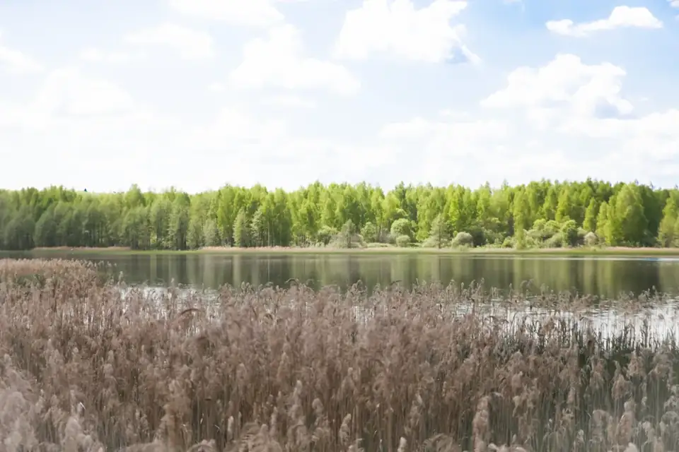 Экокурорт «Сойма Парк» в Судогодском округе, фото 2