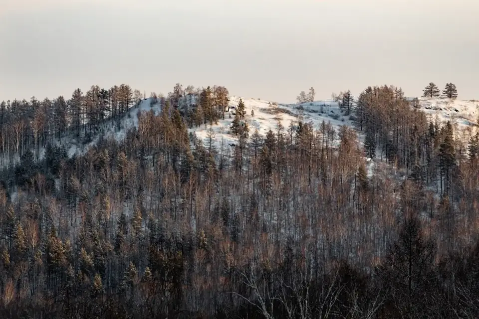 Дома «ВГости» в Абзаково, фото 2