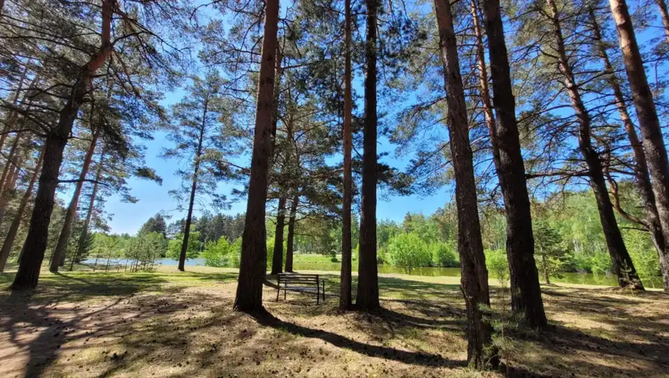 Глэмпинг «Vonavi Village» у Мурома