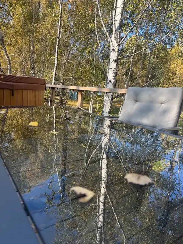 Глэмпинг «Holidays Forest» на озере Увильды, фото 2