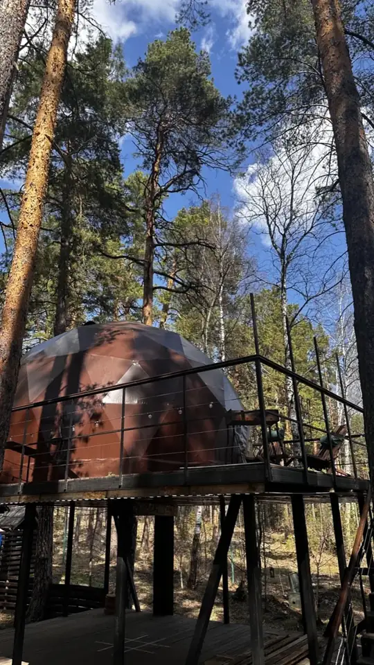 Геокупол с панорамным окном в сосновом бору