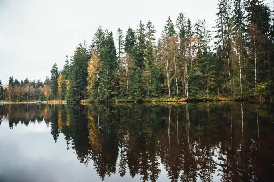 Глэмпинг Ural Glamp на лесном озере у Миасса, фото 3