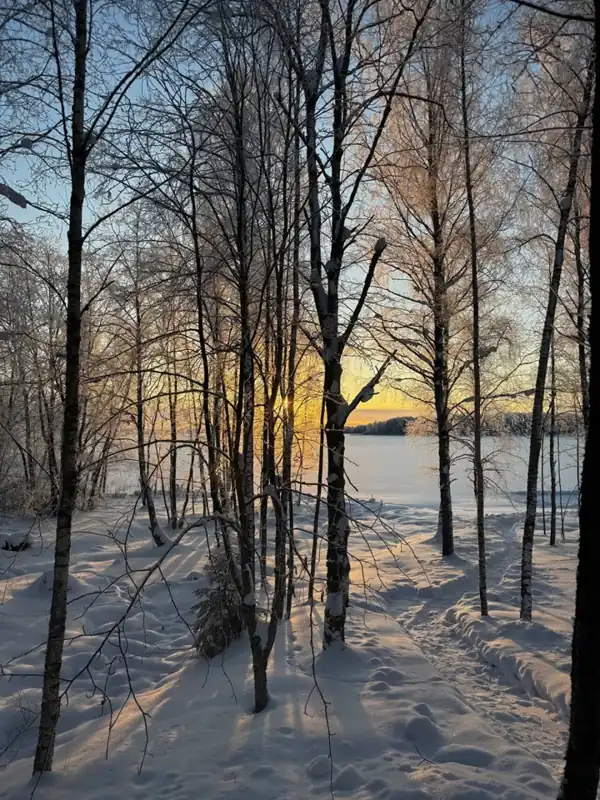 «Шато де Велье» на озере Велье, фото 2
