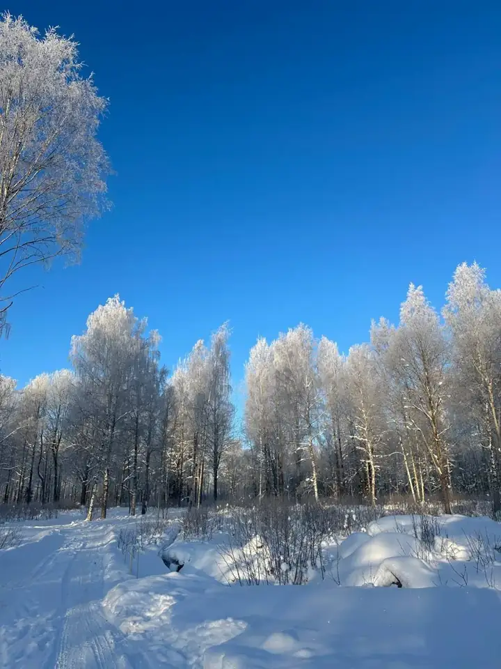 «Шато де Велье» на озере Велье, фото 3