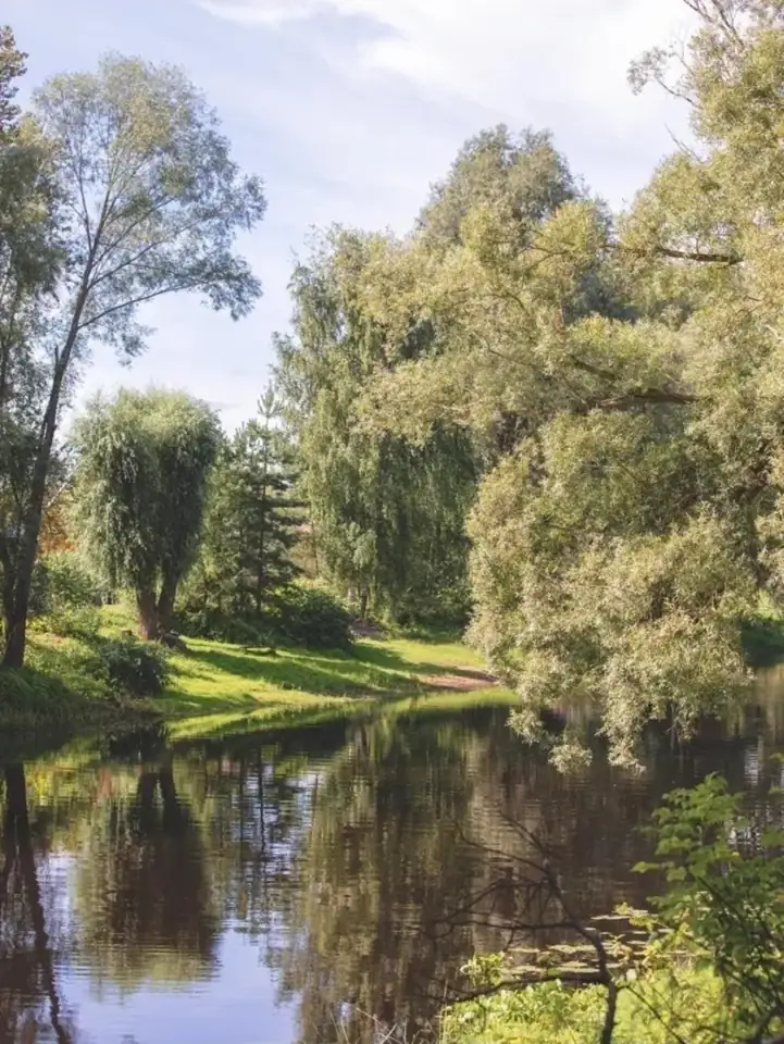 Эко-отель «Лес и Луга» на реке Порусье, фото 1