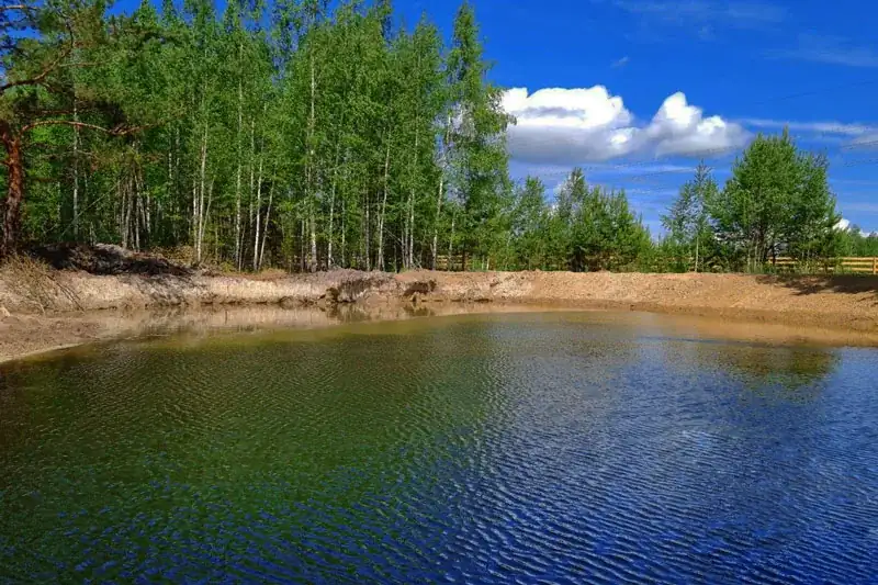 Глэмпинг «Сота Парк» на Салаирском тракте, фото 3
