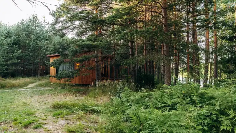 Глэмпинг «Брусничный берег» на реке Олонке, фото 2