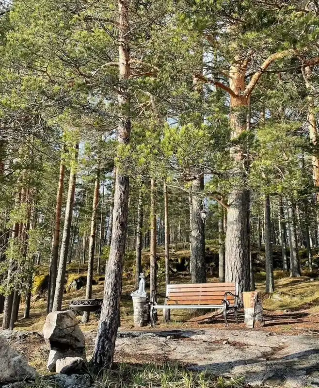 Хутор Ladoga Helmi на берегу Ладоги, фото 3