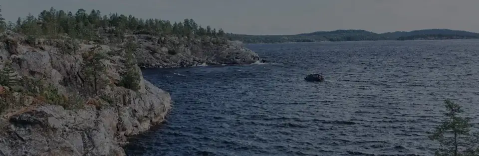 Загородный комплекс «Ягодная деревня» на Ладоге, фото 2