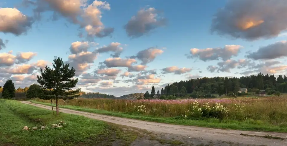 Коттеджи «Хутор Микли» у Лахденпохьи, фото 3