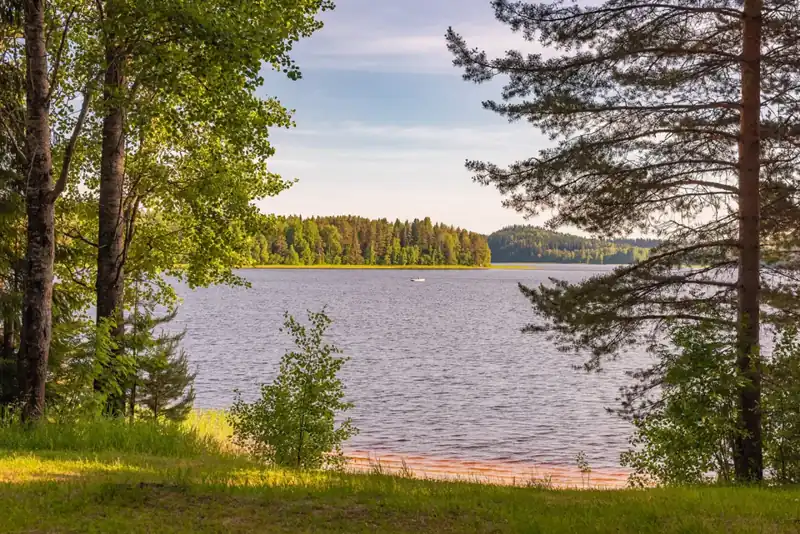 Лесной отель «Янисъярви» на берегу озера, фото 2