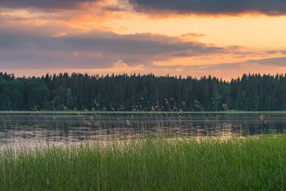 Лесной отель «Янисъярви» на берегу озера, фото 3