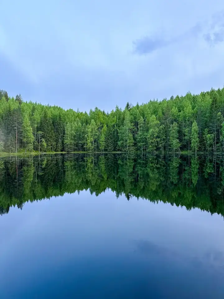 Эко-отель «Кеняки» на лесном озере, фото 2