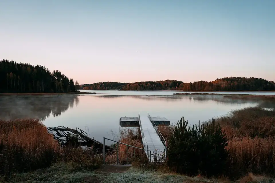 Комплекс Terve Ranta в Куркиёки на Ладоге, фото 3