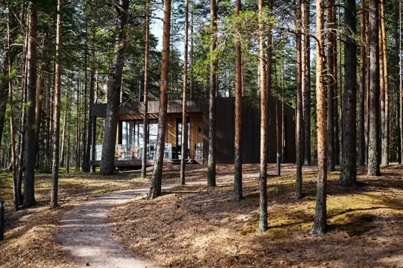 Отель «Точка на карте. Видлица» на берегу Ладоги, фото 2