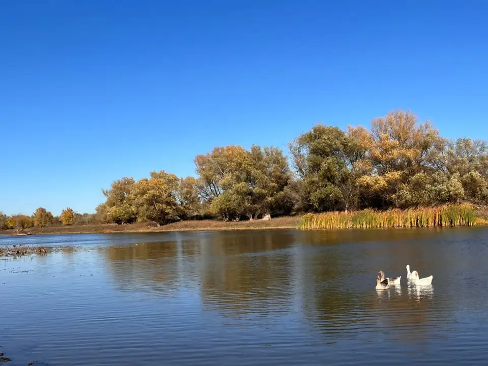 Загородный парк «Баклушино» в Тузуклее, фото 3