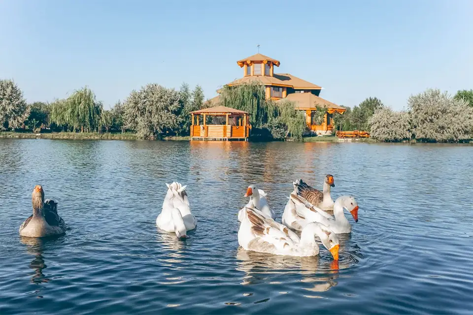 База отдыха «Дом солнца» на реке Бакланья, фото 2