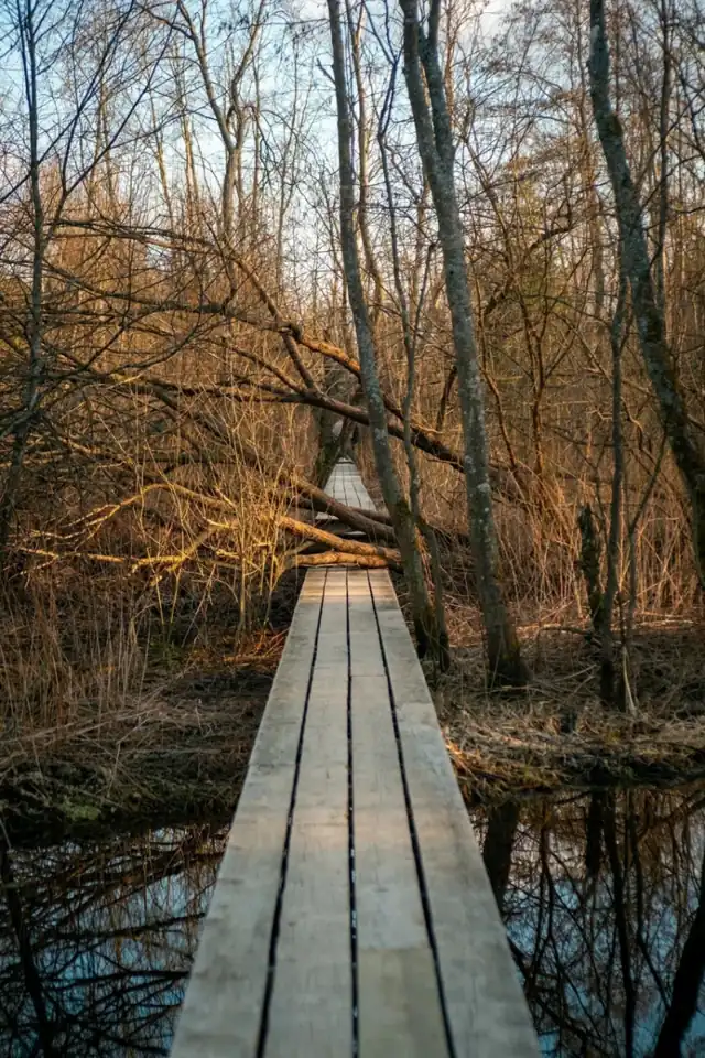Арт-усадьба Веретьево в Талдомском округе, фото 3