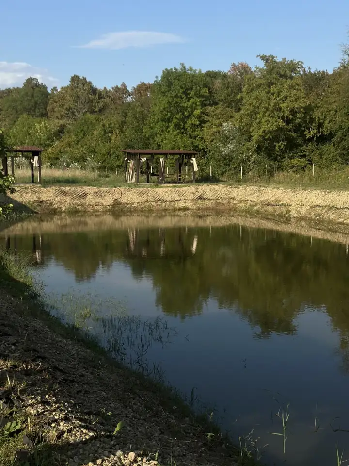 Эко-парк «Аура» в станице Смоленская, фото 3