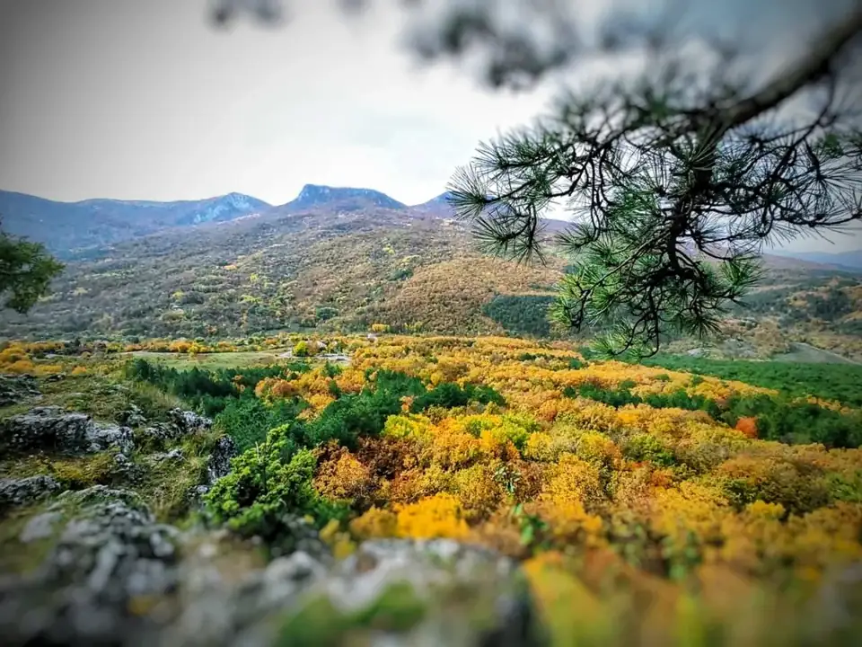 Гостевая усадьба «Бергхоф» в Многоречье, фото 2