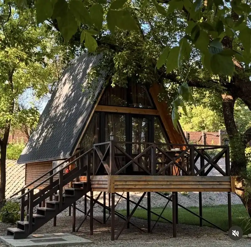 Туристический лагерь «Богатый лес» в Голубинке, фото 3