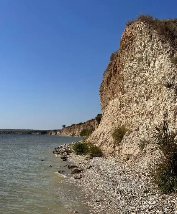 Избы «Дом в Золотом» на Волге, фото 3
