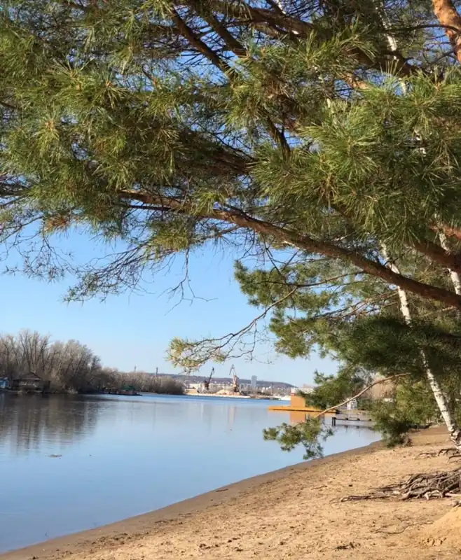 Турбаза «Робинзон - Eco Village» в Энгельсе, фото 2