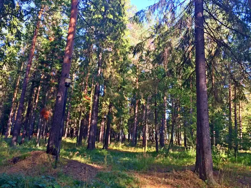 Турбаза «Чусовая», фото 3