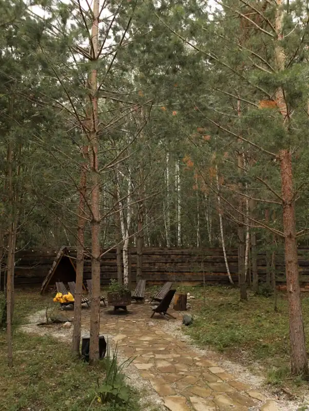 A-frame домики Forest Tale в Дегтярске, фото 2