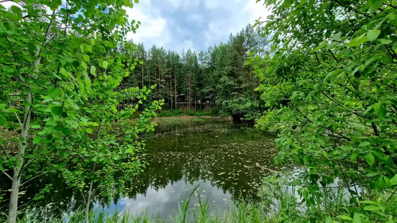 Глэмпинг «Гора Лиственная», фото 3