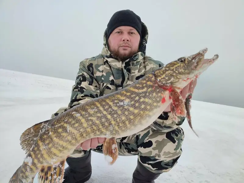 Загородный отель «Креницы», фото 3