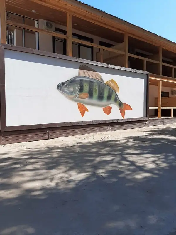 Загородный отель «Fish Sense»
