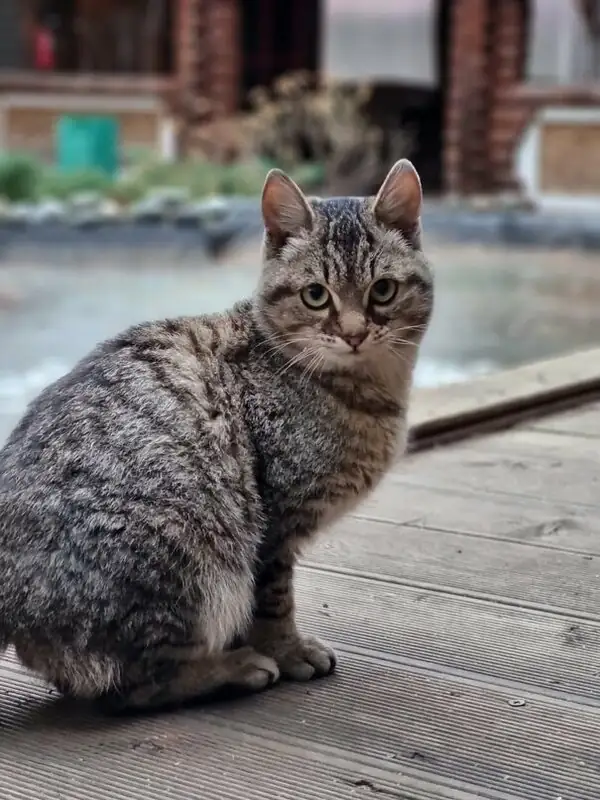 Загородный отель «Росстань», фото 4