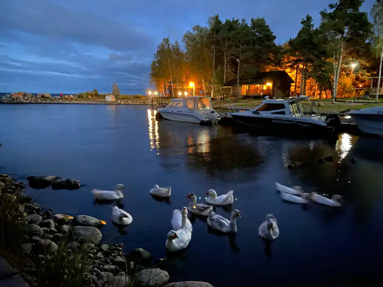 Загородный отель «Самая Ладога», фото 2