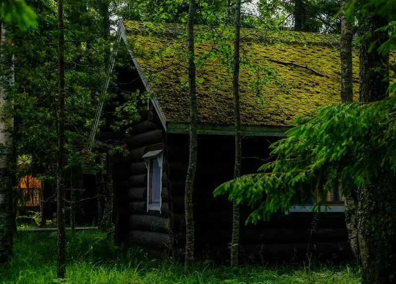 Загородный отель «Самая Ладога», фото 5