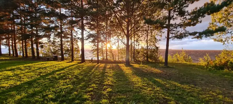 Мини-отель Легково, фото 2